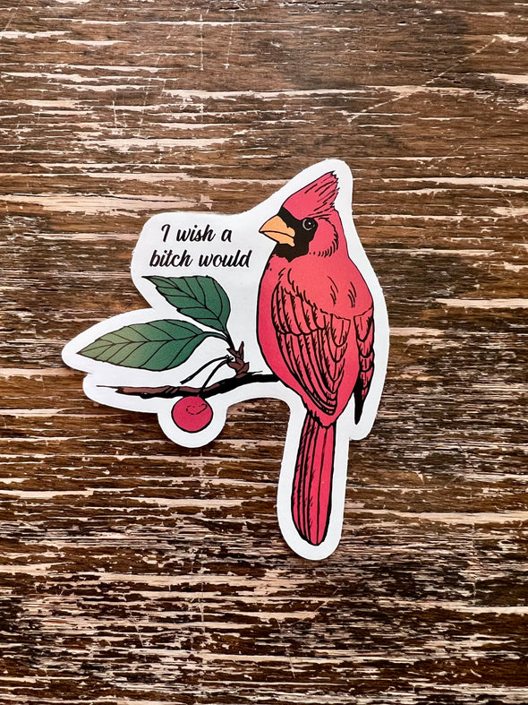 Sticker- I Wish A Bitch Would